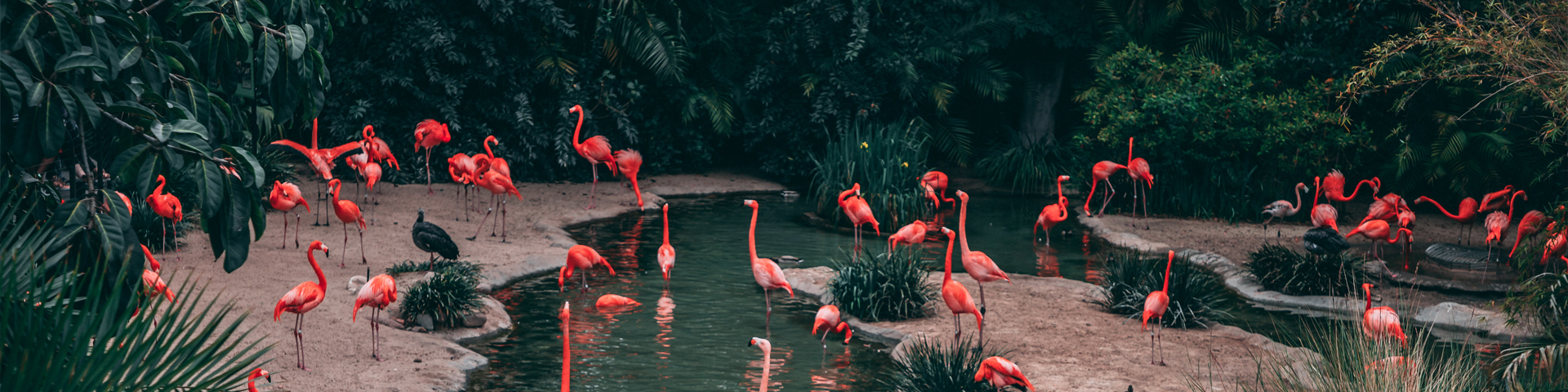 山西君湘国际旅行社有限公司驻马店第一网点  